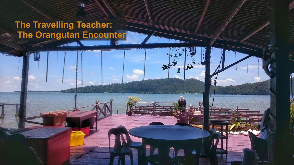 #TheTravellingTeacher goes searching for a very special animal in this week's post. Continuing on her journey, Trudie ventures in the forests of Borneo for #Orangutans. Find out whether she spotted any, and how it was teaching whilst travelling here: ow.ly/tCGQ30mzJql