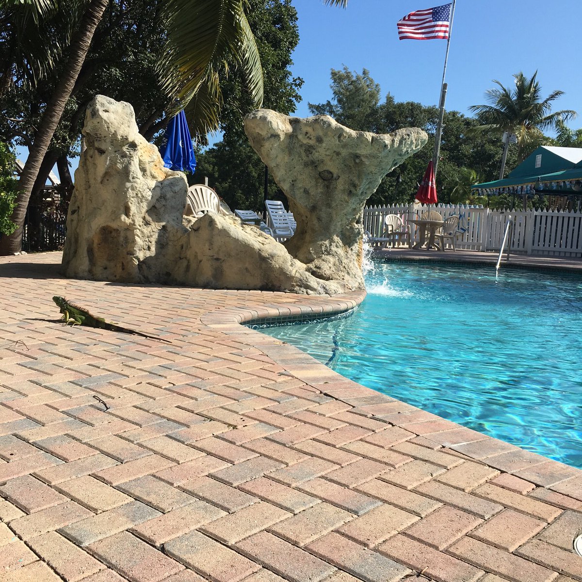 BestPoolsbyFarr's tweet photo. Thank you, thank you, thank you! #VeteransDay2018 https://t.co/3DpzEzpYON