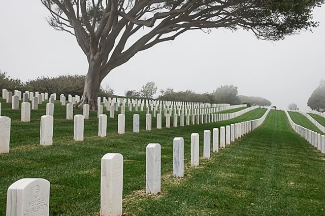 shotfromtheedge's tweet photo. Happy Veteran's Day! Thank you SO MUCH to all that have made the sacrifice, stood the watch, and given all they can to allow us to enjoy all the freedoms that we do! #veteransday #happyveteransday #thankyou
.
.
#sandiego #events #eventphotographer #photographer #conferences #trad https://t.co/Hu0jhAB7pR