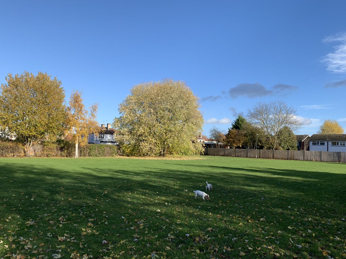 Keith (@kakatk) on Twitter photo This tree is in the planned development area of Old Farm Park. Usually a tree of this stature would have a TPO (tree preservation order) will this grand old tree survive? Councils don’t put TPO’s on trees in parks to save themselves red tape. <a href="/SaveOldFarmPark/">Save Old Farm Park</a> <a href="/LBofBexley/">London Borough of Bexley</a> This tree is in the planned development area of Old Farm Park. Usually a tree of this stature would have a TPO (tree preservation order) will this grand old tree survive? Councils don’t put TPO’s on trees in parks to save themselves red tape. <a href="/SaveOldFarmPark/">Save Old Farm Park</a> <a href="/LBofBexley/">London Borough of Bexley</a>