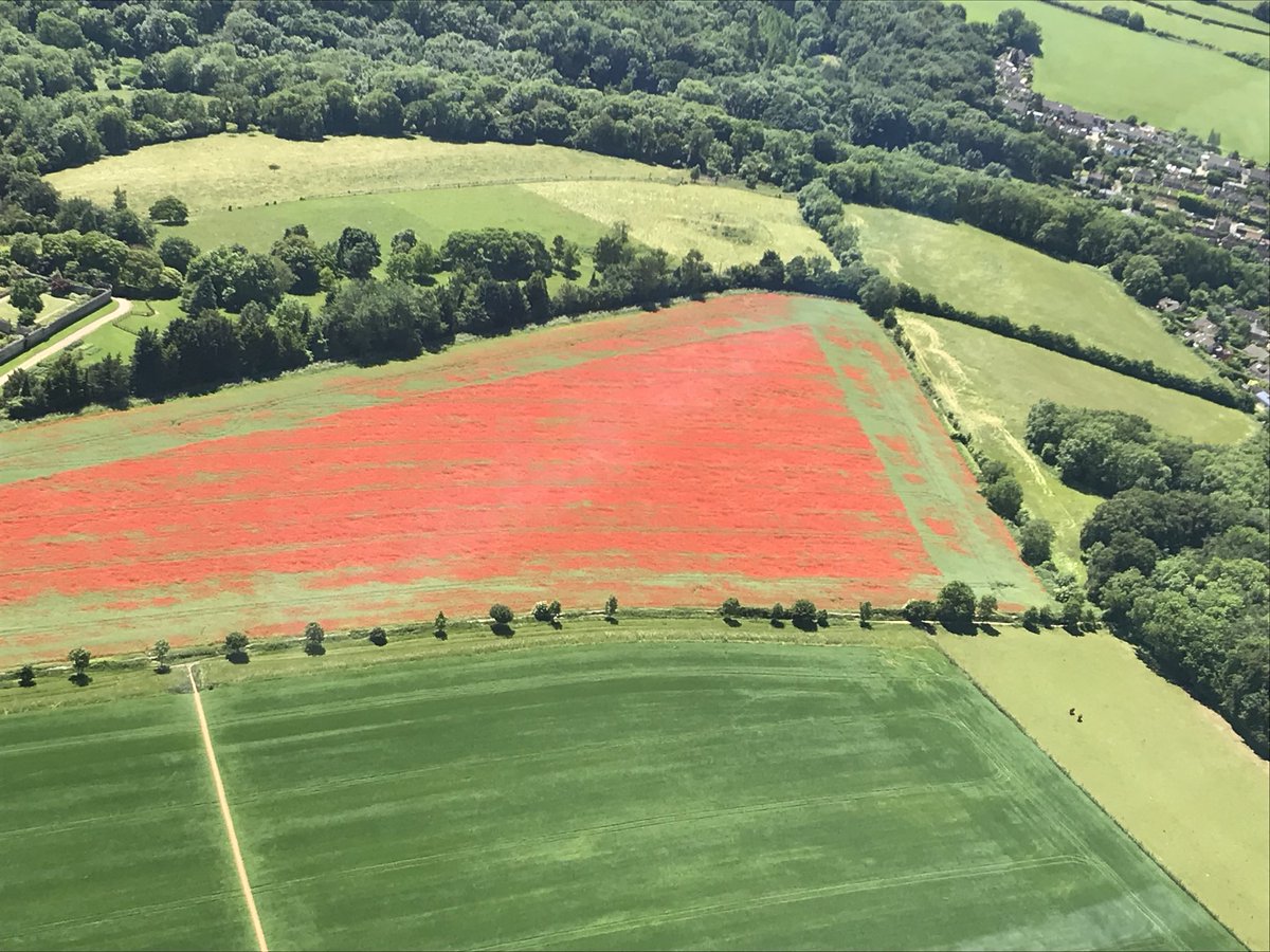 This photo of a poppy field was taken back in the UK in June, with less than 10 hours on the airframe, but comes to mind today as #Remembrance Day marks 100 years since the end of the First World War.

<a href="/RAFBF/">RAF Benevolent Fund</a> <a href="/RAFAssociation/">RAF Association</a> #WeWillRememberThem #ArmisticeDay100 #LestWeForget