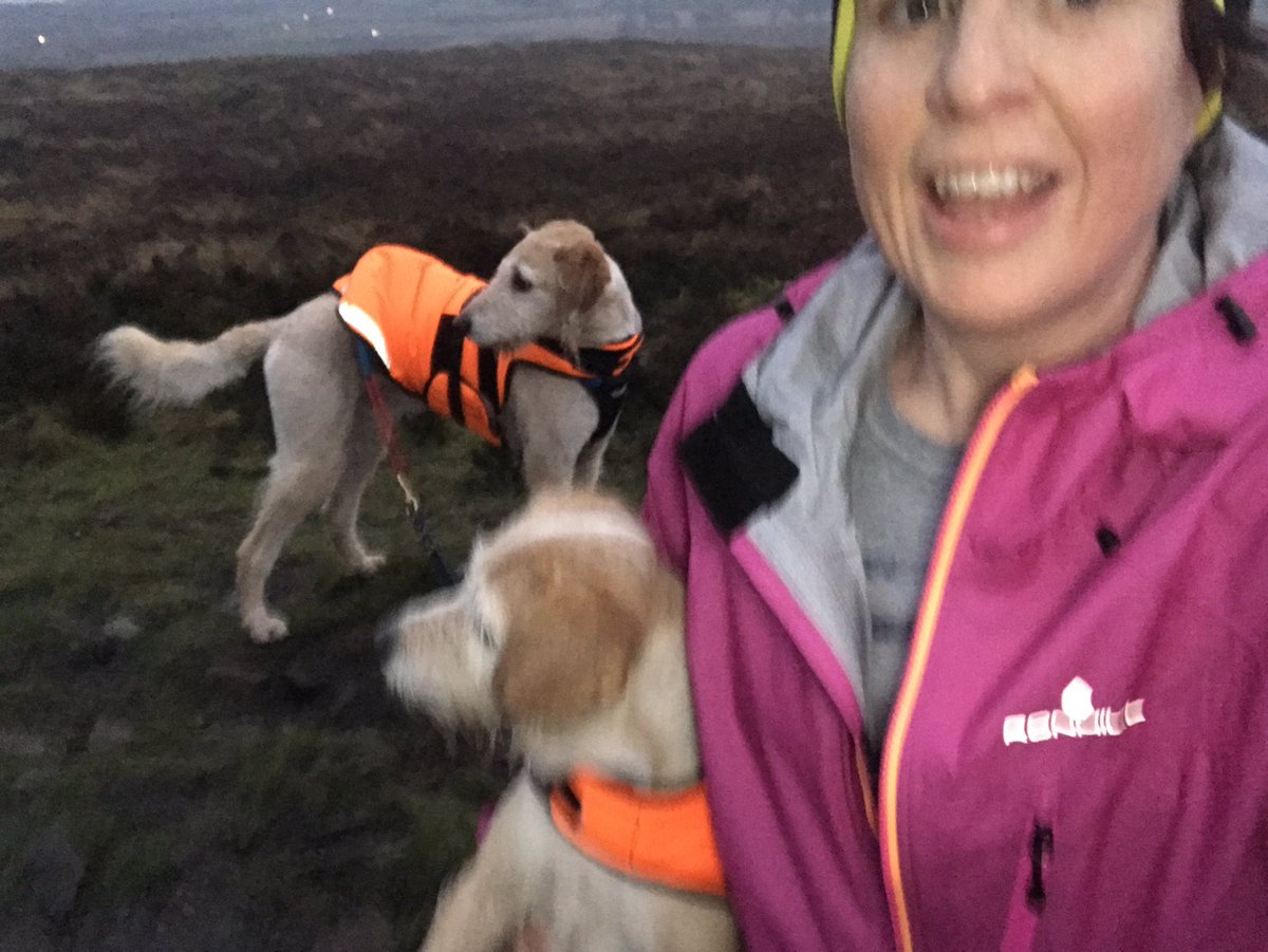 Clairebee26's tweet image. Double the trouble on tonight’s run up Carrot Hill 🥕🐶🐶#cutedogsoftwitter #Canicross #runningdogs #greatphotoskills