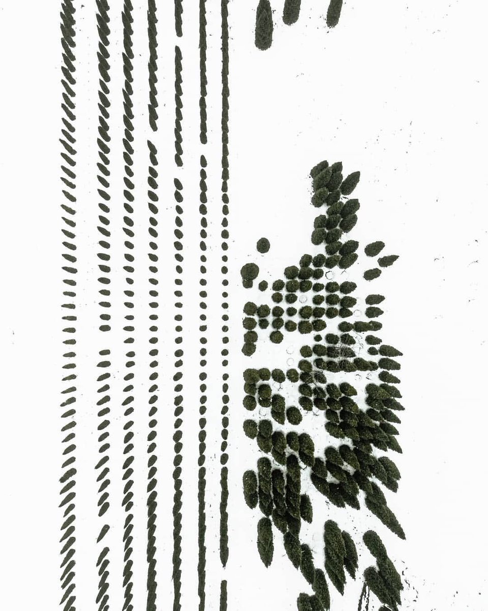 arqui_mas_'s tweet image. Código verde
Fría abstracción 
#aerialphotography #winterview #10Y10