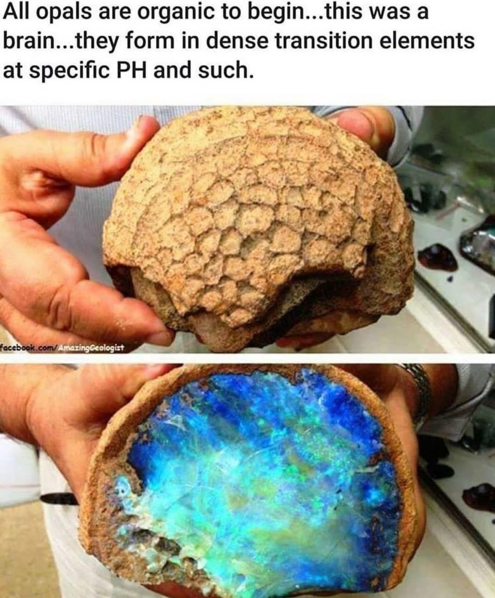 CryptoshiBTC's tweet image. You've got the universe inside of you! 🌌