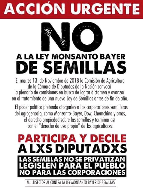 AxelOficial's tweet photo. “Las semillas son patrimonio de la humanidad”
@DiputadosAR utilicen el sentido común y la lógica en beneficio del bien común y de todxs.
Piensen en los nietos de sus nietos...
Por favor! 🙏 
Hacemos RT? Gracias!!! https://t.co/V6045a2Ha3