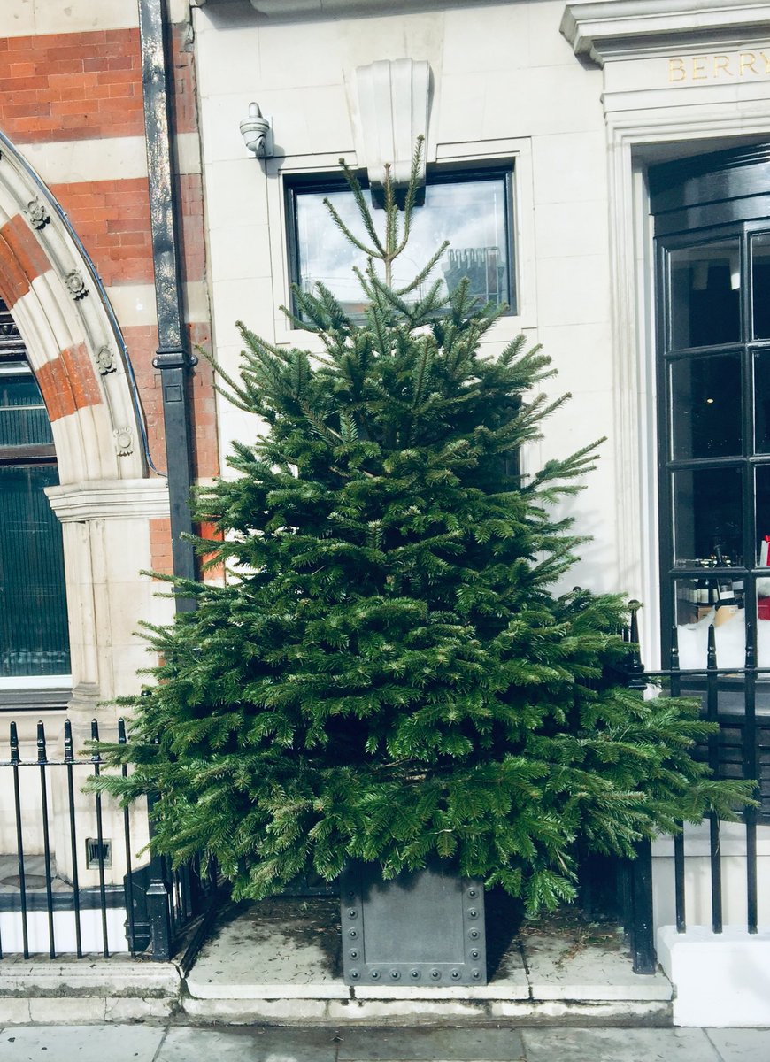 GoodElfs's tweet image. What a beautiful tree!  First of many installed today!