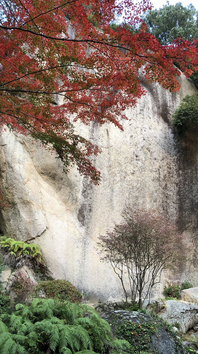 山寺の和尚さん 笠置寺 笠置山 紅葉情報 18 11 12 Am7 00 笠置山も紅葉の季節を迎えました 今年のもみじ は そんな言葉を言ってしまいますが いまあるのは いまのもみじ 過去や未来にとらわれず いまを大切に楽しみましょう 京都 笠置 山寺の和尚さん 笠置寺 笠置山 紅葉情報 18 11 12 Am7 00 笠置山も紅葉の季節を迎えました 今年のもみじ は そんな言葉を言ってしまいますが いまあるのは いまのもみじ 過去や未来にとらわれず いまを大切に楽しみましょう 京都 笠置
