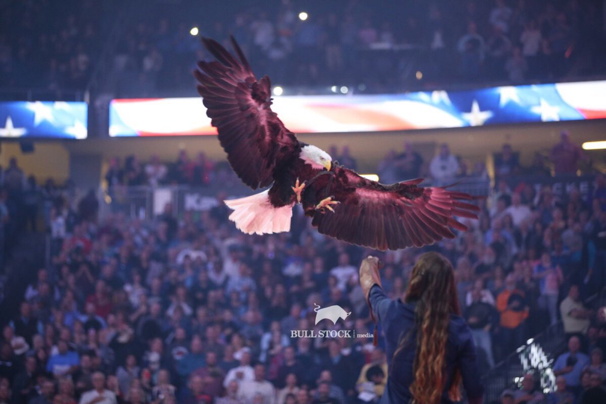 BullStockMedia's tweet image. To the land of the free and the home of the brave 🇺🇸
THANK YOU! To all who have served and protected the US of A!
#VeteransDay #Merica