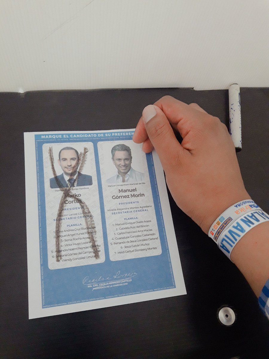 gabooficiaal's tweet photo. Somos los únicos que elegimos democráticamente a nuestros dirigentes. 👏👏👌👌
#ElecciónPAN2018
#YoConMarko
@MarkoCortes
🔵🔵⚪⚪🔵🔵⚪⚪ https://t.co/hKvpYdmJa9