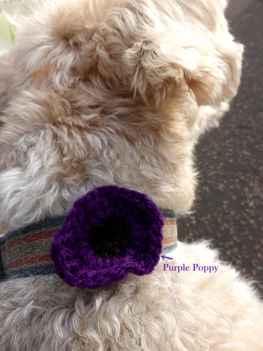 KillingBdesigns's tweet photo. Remembering the vast amount of animals who died in war; in battle and due to the grievous effects of war. Tobin got his purple poppy from @Hallswood #hallswood #FirstWorldWarCentenary #PurplePoppyCampaign #AnimalsinWar #PoppyAppeal #KillingBDesigns ©  https://t.co/pOiiBf4hxe https://t.co/8BA3lthuDn