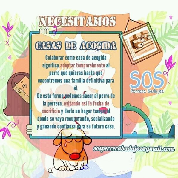 sosperrosbdjz's tweet photo. Un día más de  lluvia, desesperación y ganas de llorar.
Necesitamos más que nunca ayuda, 🏡NECESITAMOS CASAS DE ACOGIDA 🏡
La perrera está llena y como siempre son los más inocentes los que sufren.
Si puedes ayudarnos, escríbenos al correo 🔽sosperrerabadajoz@gmail.com🔽 https://t.co/Le4GDbzAyG