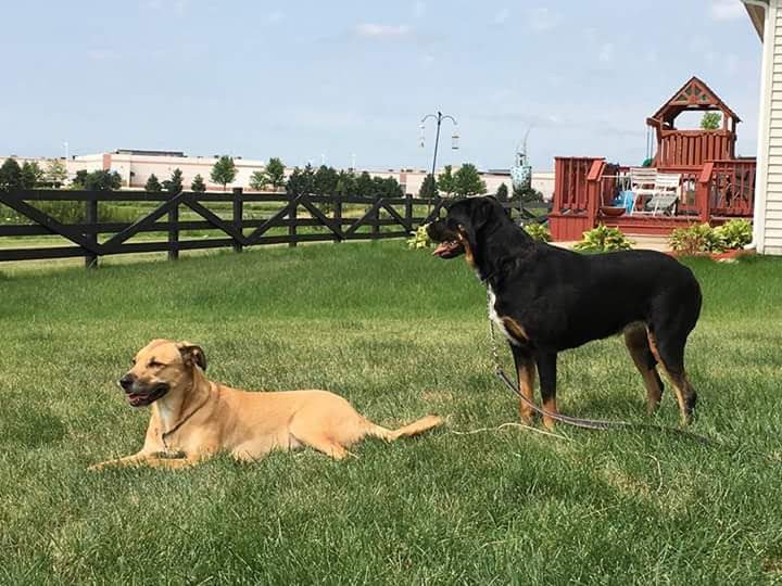 My bestfriends ♥️