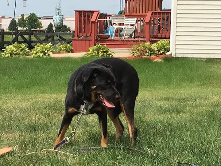 Robert Jaggers Sr. (@jaggerssr) on Twitter photo 