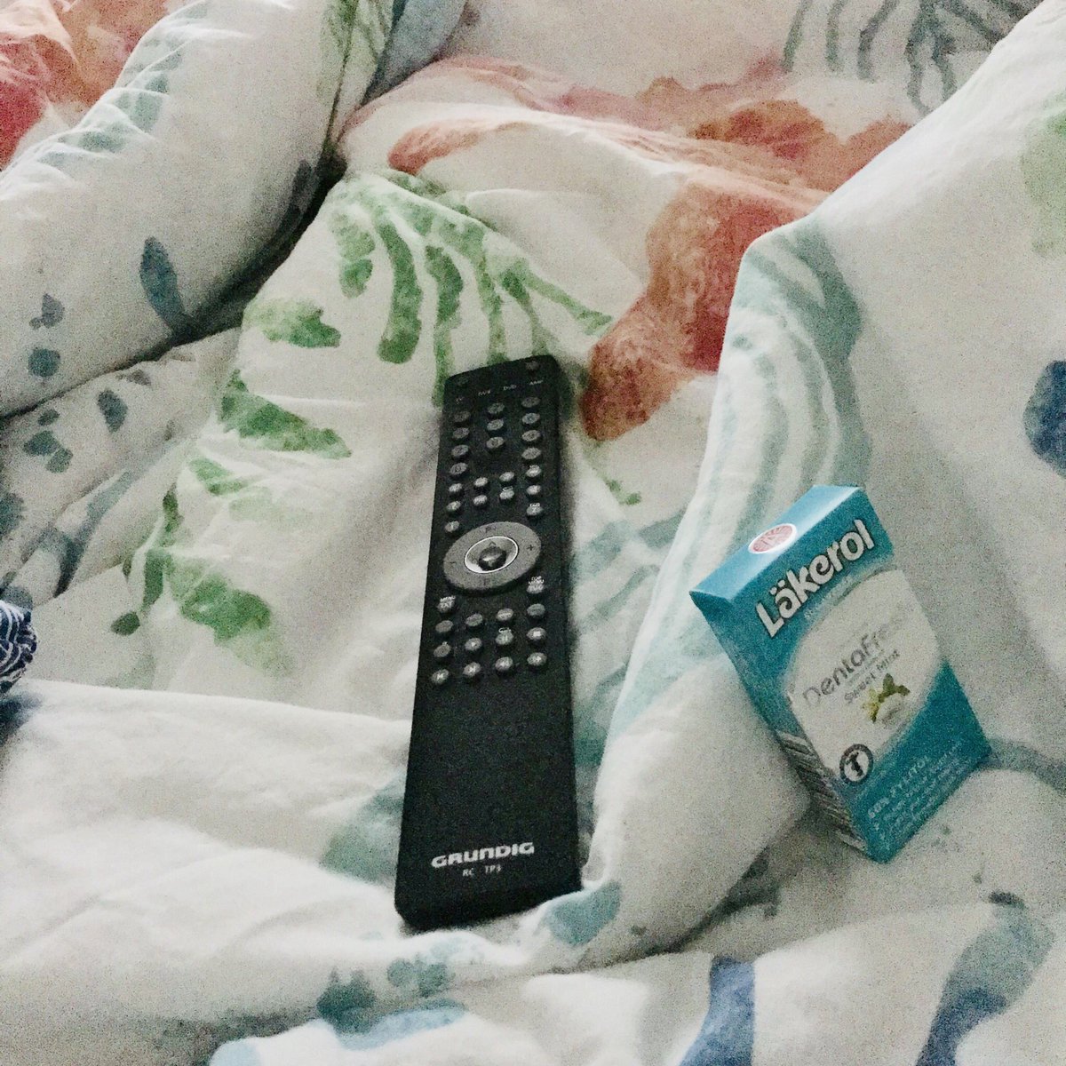 matanen91's tweet image. Watching #AnimalsUnleashed in bed 📺🛏