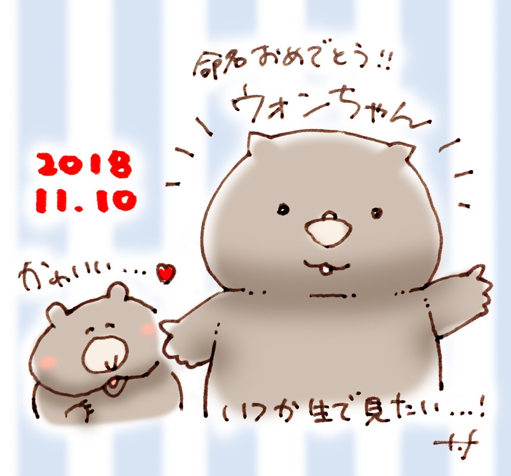 Tomomi Fujii かわいいお名前 ウォンちゃん ズバ抜けてかわいいです ウォンバットフェスタ Tomomi Fujii かわいいお名前 ウォンちゃん ズバ抜けてかわいいです ウォンバットフェスタ