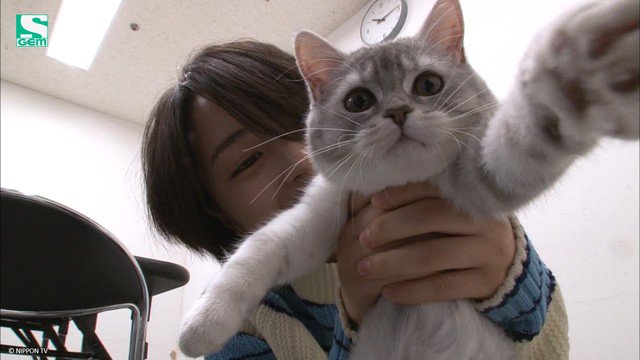 ベッキー A Twitter Search