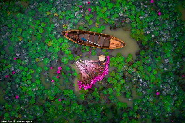 argasbrianv's tweet photo. Đôi khi, rõ ràng chúng ta đã tha thứ cho người ta, song lại không thể thực lòng vui vẻ, đó là bởi vì, chúng ta quên tha thứ cho bản thân mình. https://t.co/tNw9gCvXHi