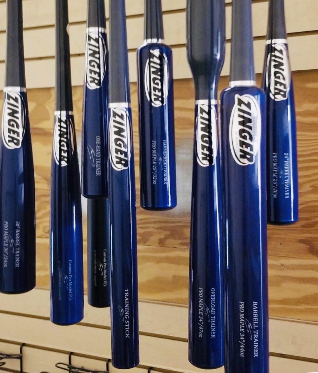 zinger training bats