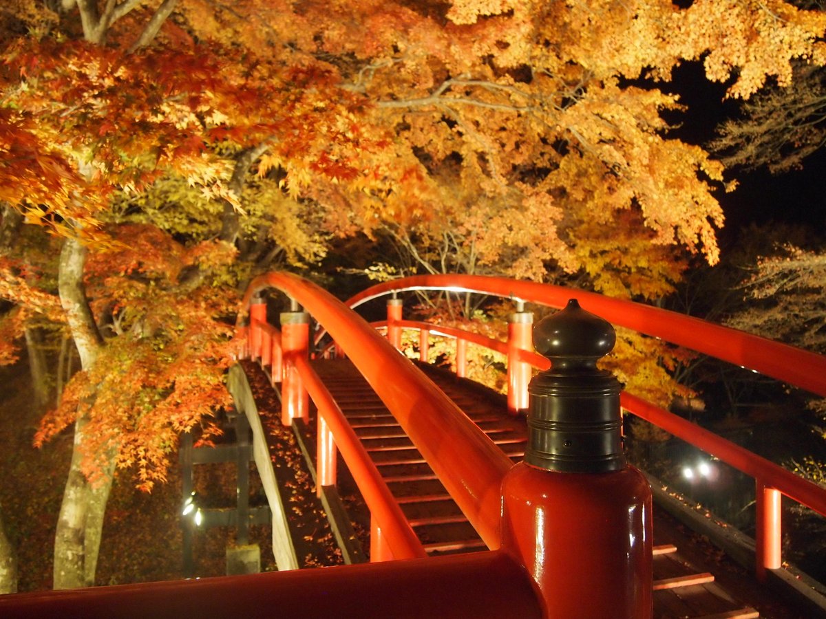 渋川伊香保温泉観光協会 第4回いかフォト 7 1 10 31開催中 先日の紅葉ライトアップの様子です 紅葉と赤い河鹿橋が絶妙にマッチしていますね 皆さま ぜひお越し下さいね 思い立ったら伊香保温泉へ 伊香保温泉 河鹿橋 伊香保 群馬 温泉