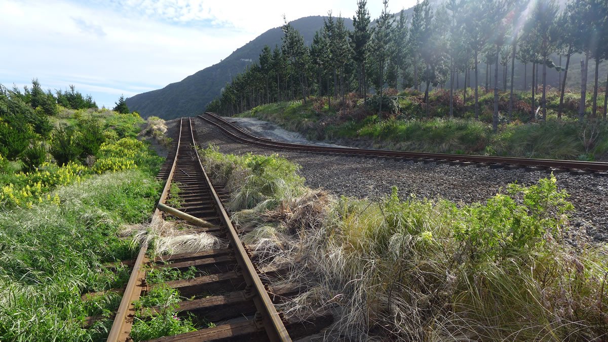Kaikōura quake, two years on:
Two years ago, the magnitude 7.8 quake dramatically changed part of New Zealand’s landscape. This week, we look back on the most complex earthquake ever studied – and consider the implications for the future.
https://www.gns.cri.nz/Home/News-and-Events/Media-Releases/two-years-on …