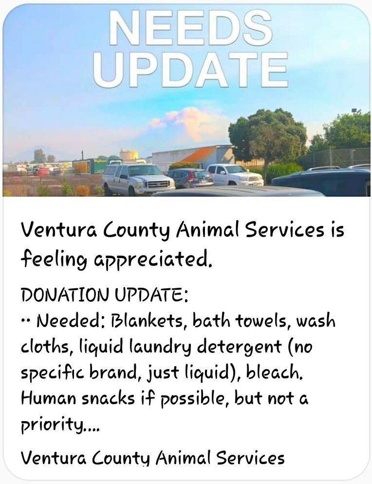 elle_desylva's tweet image. 🔥📢 Ventura County Animal Services needs:

• Blankets, towels &amp;amp; wash cloths (for animal use; need not be new)
• Liquid laundry detergent
• Bleach

Show them some ♥️ with snacks 🥨

#SoCalFiresJamesWoods #WoosleyFire #DisasterAnimals #CaliforniaFires #DisasterAssistTeam #pets