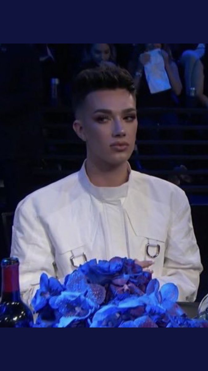 james charles palette van gogh