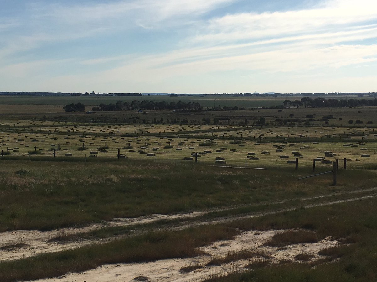 Equine Mix Ryegrass all baled up ready to go. Please send me a message if interested. #pepperhilllodge