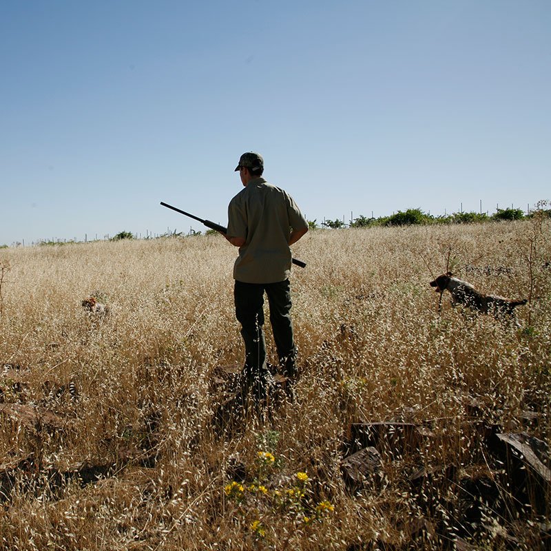 Un cazador, herido grave por un disparo en el pecho dlvr.it/Qr2brn