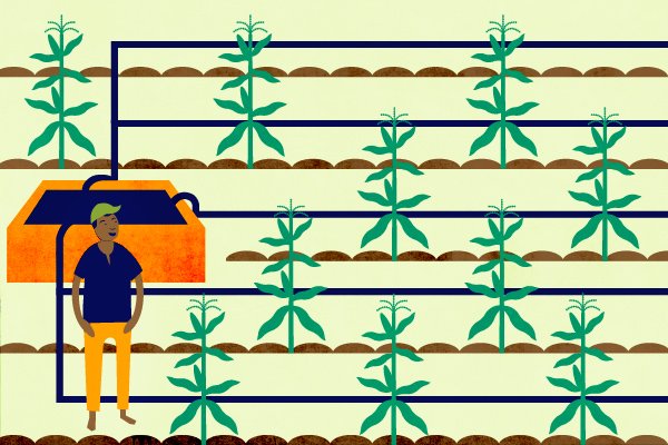 farmingfirst's tweet image. Only around 5% of cultivated land in #Africa is irrigated, compared with 41% in Asia.

The potential: irrigation alone could increase output by up to 50% in Africa.

We're calling on global leaders to #InvestInNutrition and to invest in farmers to achieve #ZeroHunger