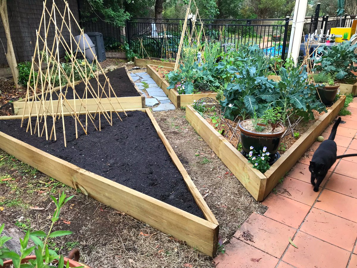 Two new #gardenBeds to fill with #yummy #veggies .. #approved by #Wylie the #housePanther .. thank you Leo 😍
#myGarden #EdibleGarden #veggieGarden #new #cat #blackCat #furBaby #purrBaby #eltham #melbourne