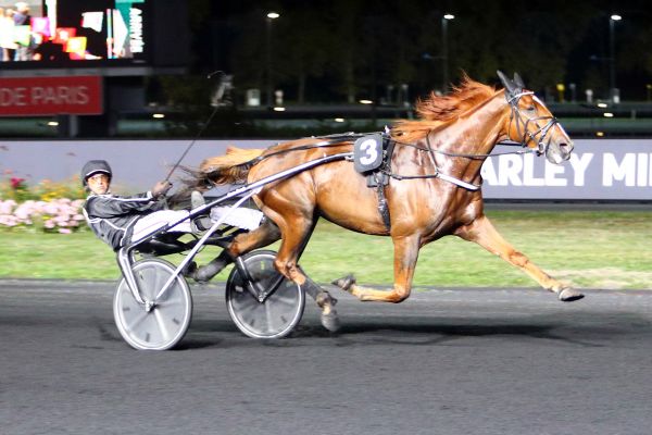 Paris_Turf's tweet photo. Balfour passe un test @vhpofficiel #Quinte+#Prixd'Argentan #1211
>>> https://t.co/AP7g3WeSqY https://t.co/kVJRyrxubq