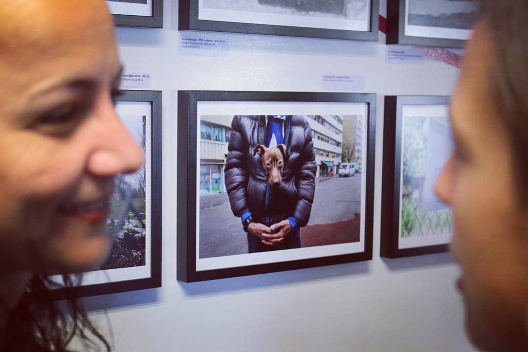 L'expo 'I love La Mina' estarà oberta fins al 8 de desembre en horari de la biblioteca Font de La Mina >>> matins : dx, dj i dss de 10 a 13.30h >>> tardes: de dll a div de 15.30 a 20.30h Si vols una visita guiada, fes-nos un DM #barriLaMina #SantAdrià <a href="/DOCfieldBCN/">DOCfield Barcelona</a> <a href="/imonfort/">imonfort</a>