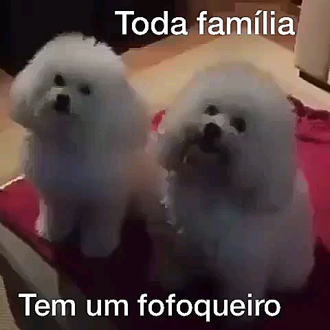grandesbobeiras's tweet photo. #SegundaDetremuraSdv #startsdv #sdv #fofoca https://t.co/Lzckj1ZJw7