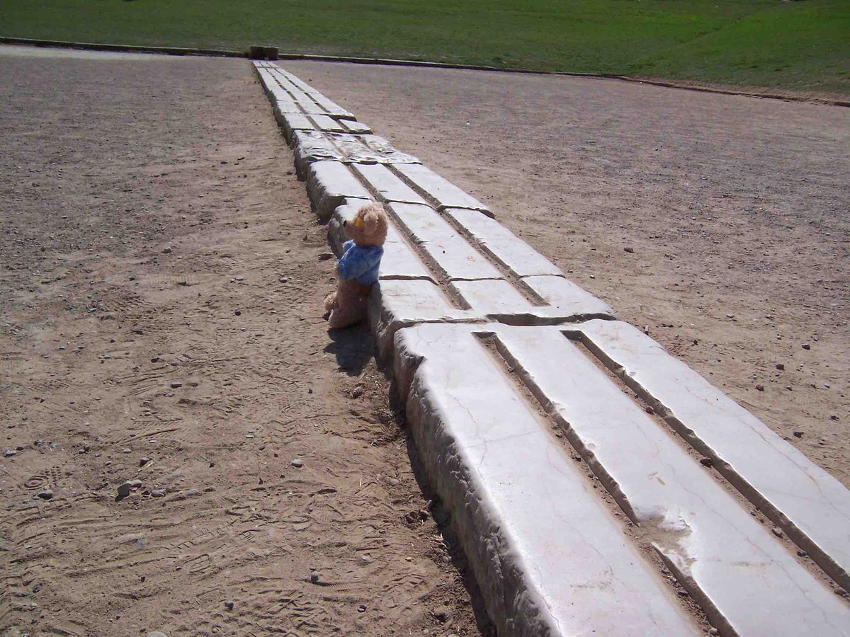 Flynn at the starting line in Olympia. Bears are great athletes. say.it/flynn #FlynnTheBear #MondayMotivation #AncientOlympia