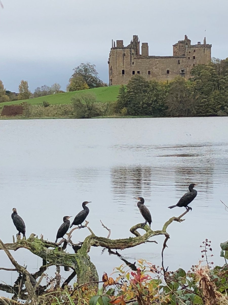 You can’t beat Linlithgow Peel and Loch for a stunning Sunday stroll @VisitScotland #nofilter #ScotlandIsNow #EverydayWalking