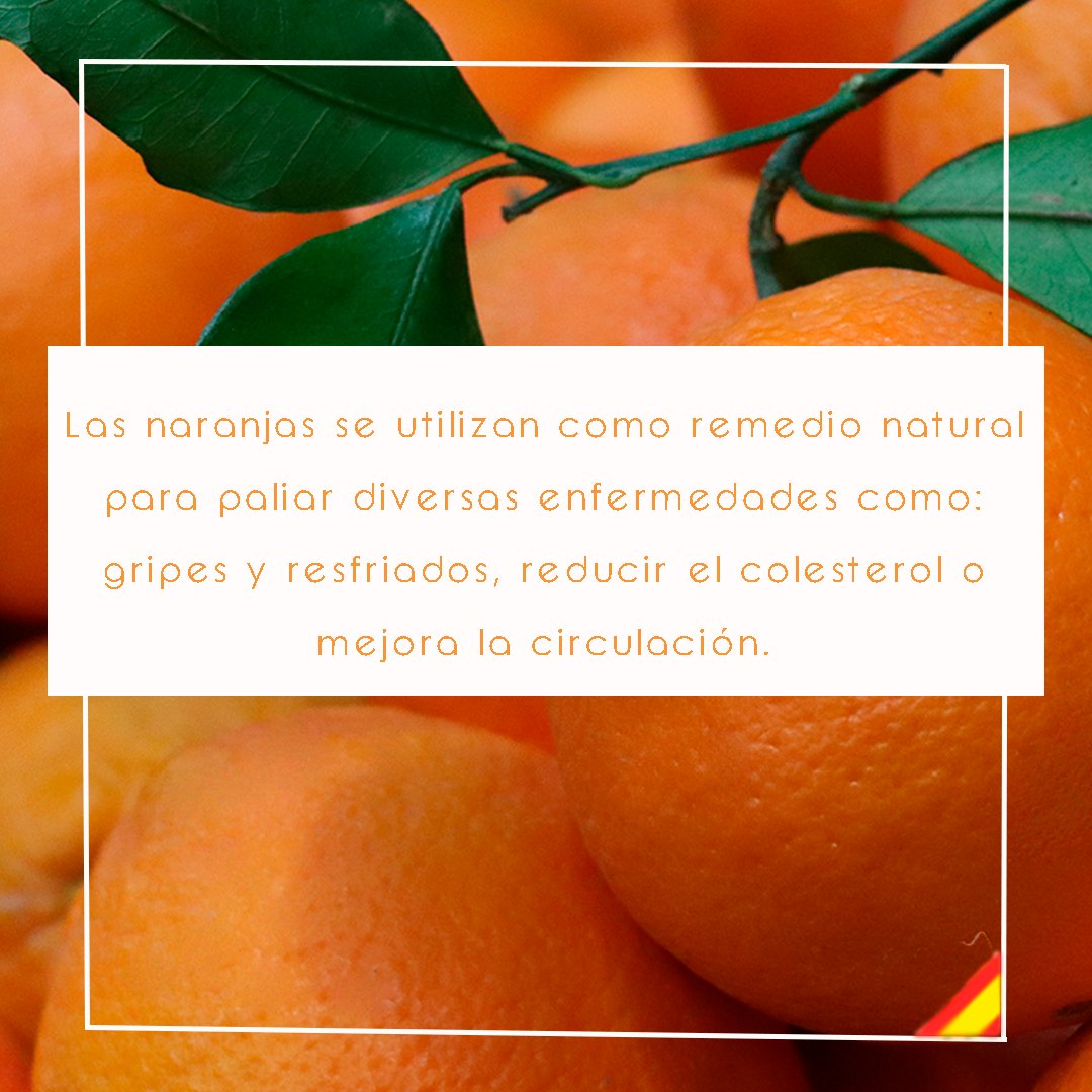 export_orange's tweet photo. ➡️Con la llegada del frío, son muchos los que pillan un resfriado o incluso una gripe... ¿Sabías que las naranjas son uno de los mejores remedios naturales para combatirlos?🍊
#exportorange #naranjas #remediosnaturales https://t.co/T43OppaJxx