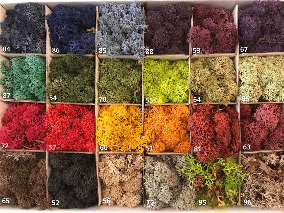 SwitchwallParis's tweet image. Voici nos coloris pour le module végétal "SwitchWall Sous-bois" 🌿🌱
Votez pour vos 2 couleurs favorites, qui seront incluses dans notre catalogue. On compte sur vous 😊
#switchwall #vegetal #module #mur #innovation #Vote