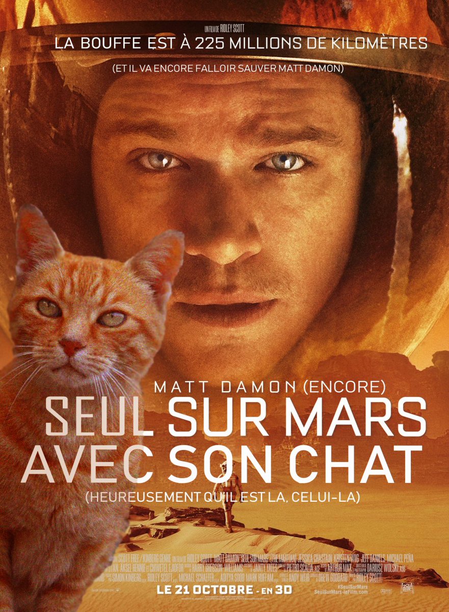 BADCATLEO's tweet photo. Seul sur mars … avec son chat https://t.co/Hbv7MWf4wY https://t.co/mfLBIM4SMO