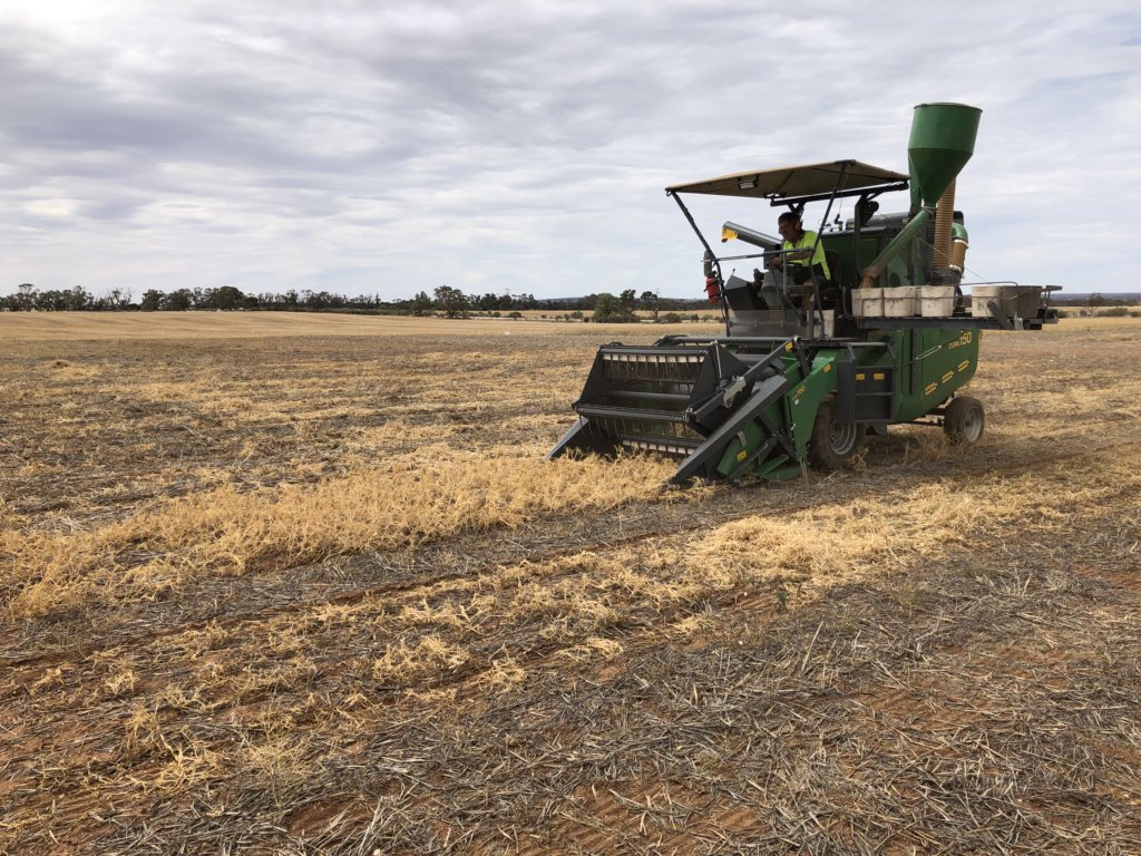 Michael Moodie tweet media