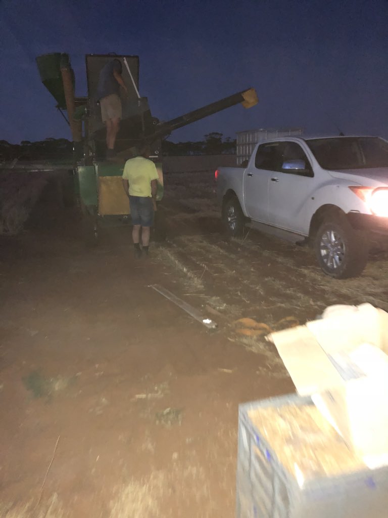 Michael Moodie tweet media