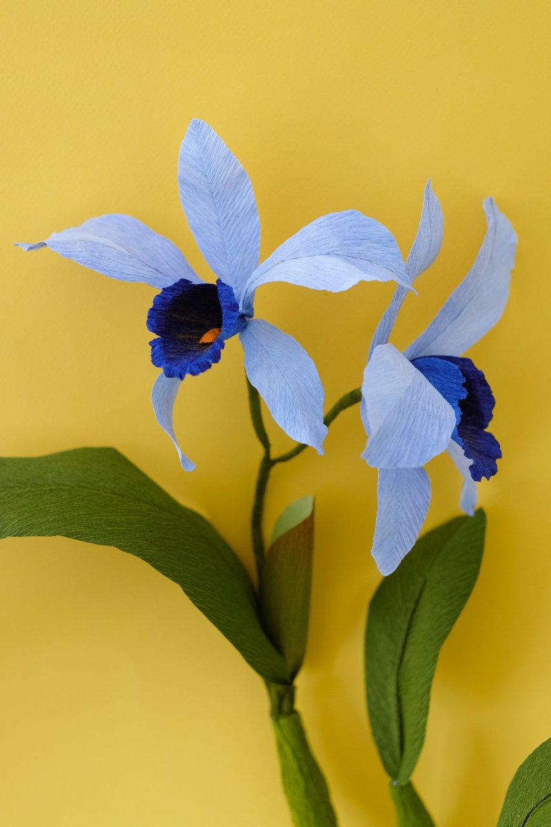 vsco's tweet photo. Made from paper, Anna Chedid and @shanghai_1984's handmade flowers look incredibly lifelike.
See the results of their photoshoot at VSCO's Open Studio. https://t.co/gxZvj8gh2q #VSCO #VSCOOpenStudio https://t.co/3BTA68LzmB