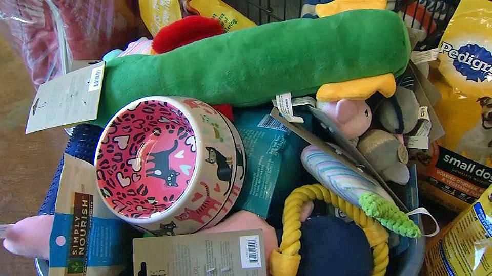 The Animal Rescue Foundation in Walnut Creek steps up and collects