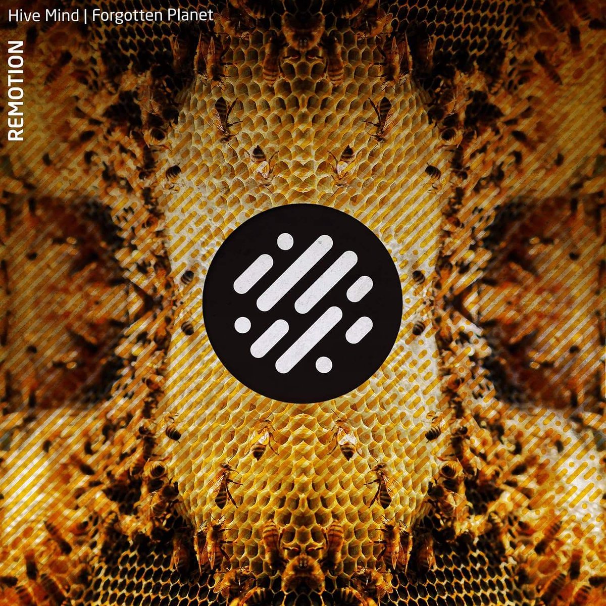 remotion_pt's tweet photo. Don't miss our latest EP 'Hive Mind' out on @digitalStrct – Available on @beatport and @Spotify ☢️ #Techno #DanceMusic #HiveMind #DigitalStructures #Beatport #Spotify #Remotion #SciFi #ForgottenPlanet https://t.co/Eakk49lD1F