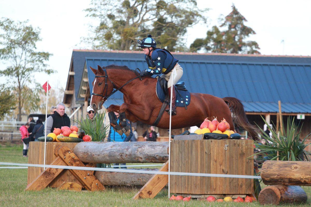 TenYearsIn's tweet photo. My latest blog post is online, inc headcam footage from out XC round https://t.co/OjoU820Uo8
#HorseBloggers #Eventing #chestnutmare #polishwarmblood #givingitago
@kanteq @balancesaddles @premierequine1 @AriatEurope https://t.co/BLsmtb1m4U