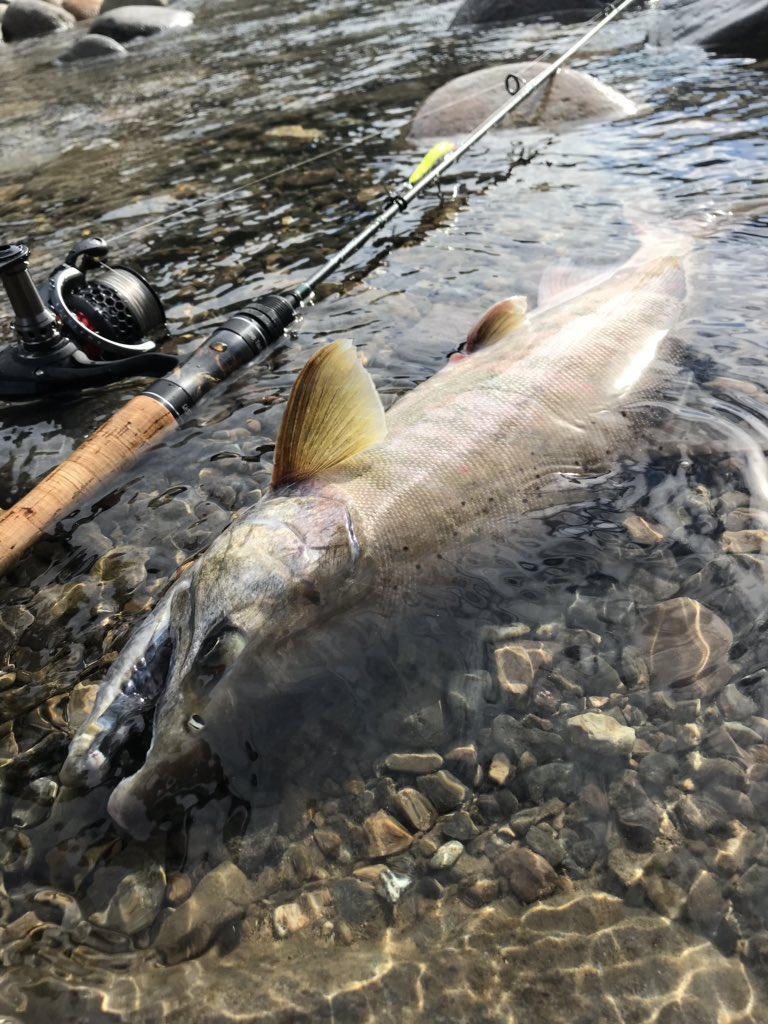 49cm Hashtag On Twitter - 