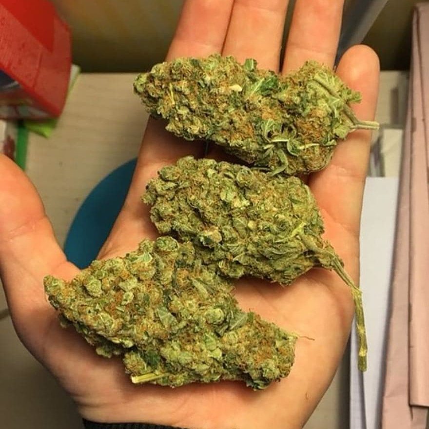 Darknet Markets Wax Weed Darknet Markets Wax Weed