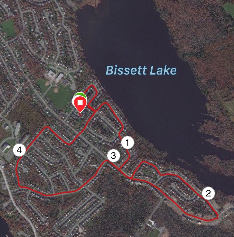 CourseHome's tweet photo. The Canadian Beacon of Hope, @TerryFoxCanada !! Thanks!! @DarrenFisherNS @geoffregan #precisionmedicine #MyHomeEventCourse5K #OneLove #NoOcean @tnthalifax #MicroRuns4Funds @makecents @colindeacon @LukeShoeFitter #Ideas https://t.co/2tBmsk9cEQ