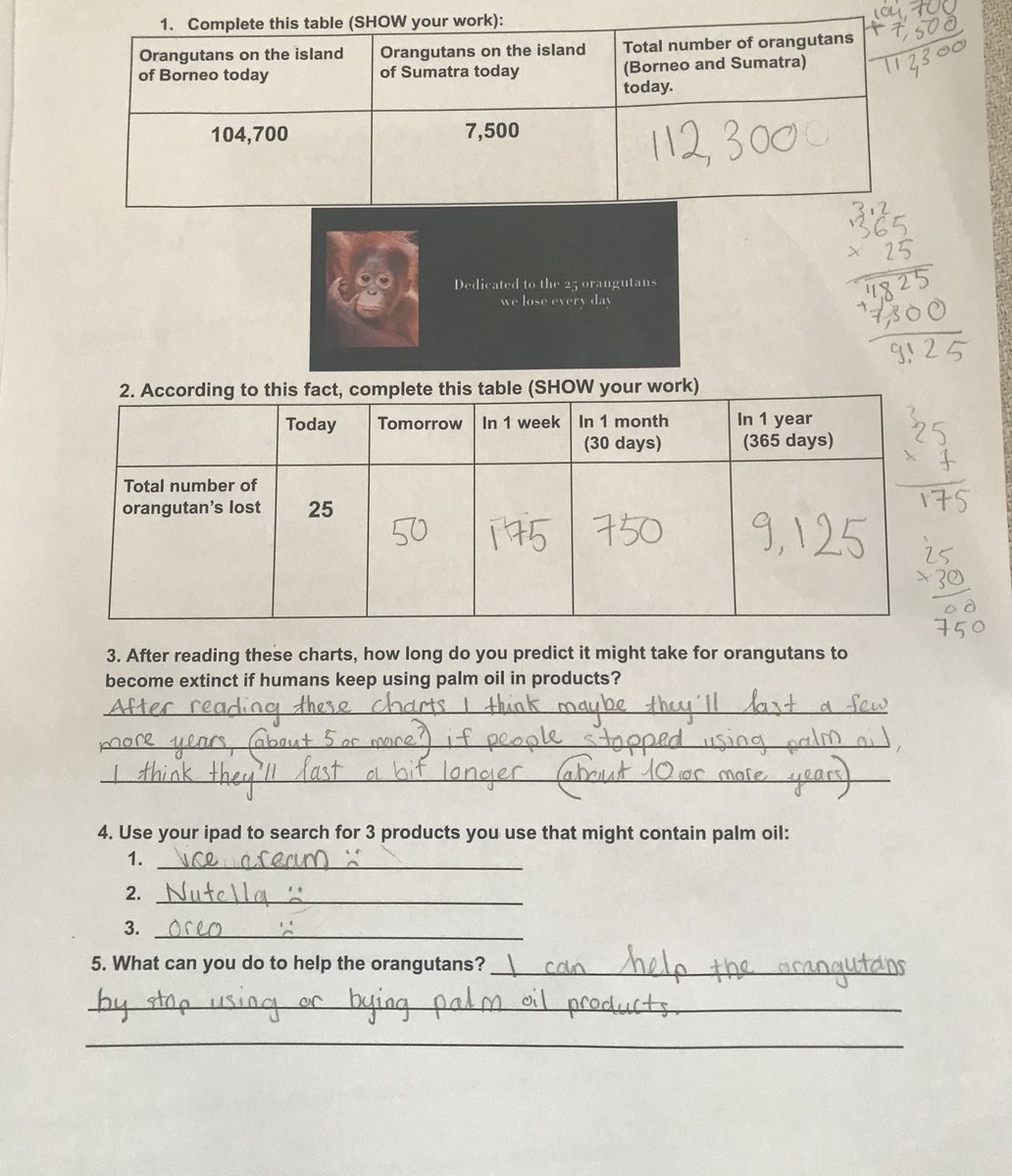 innovative_inq's tweet image. Our first activity based on @IcelandFoods @rangtanforest palm oil video. More #inquiry coming soon! #ishcmcib #cognitaway #studio4