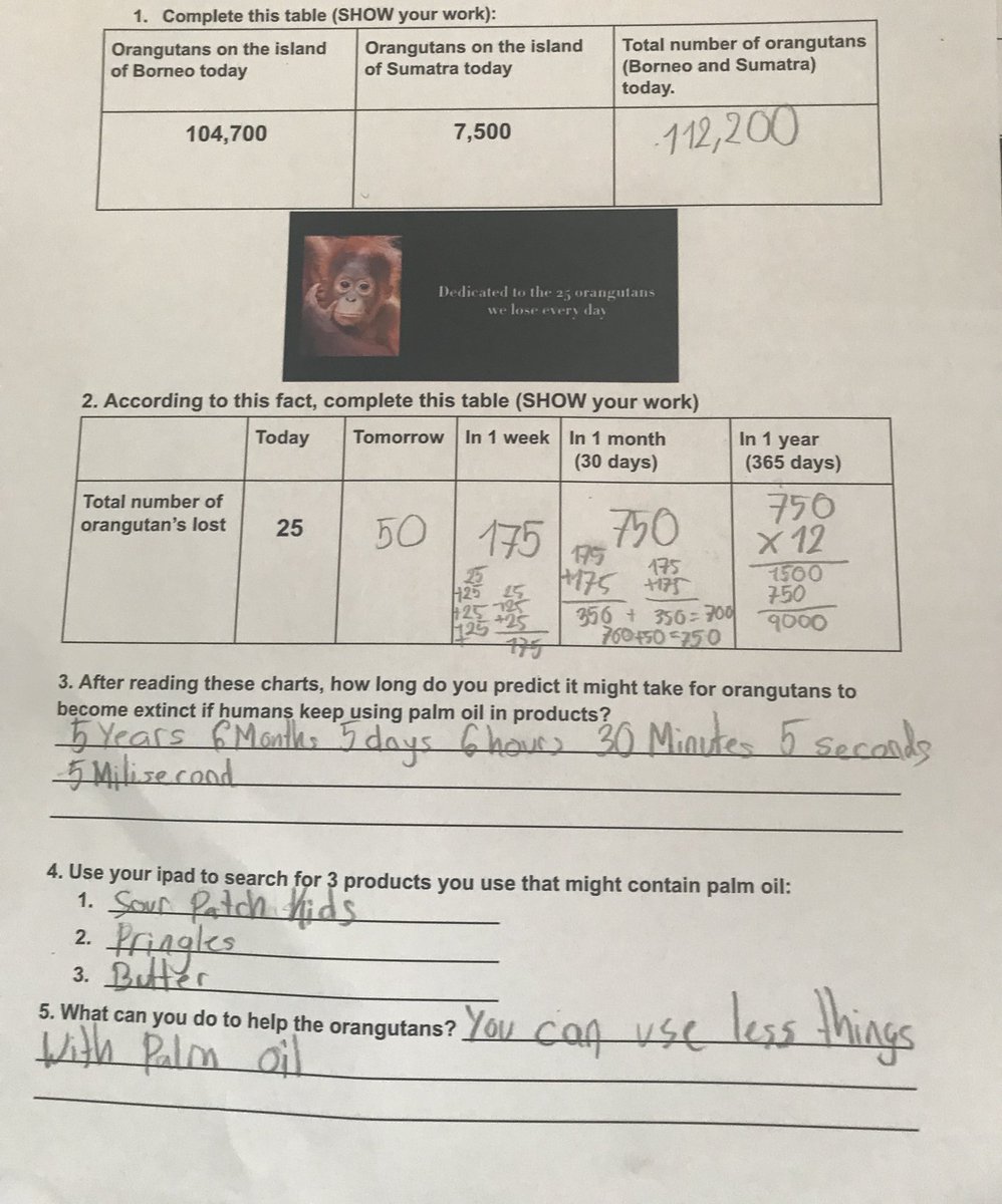 innovative_inq's tweet image. Our first activity based on @IcelandFoods @rangtanforest palm oil video. More #inquiry coming soon! #ishcmcib #cognitaway #studio4