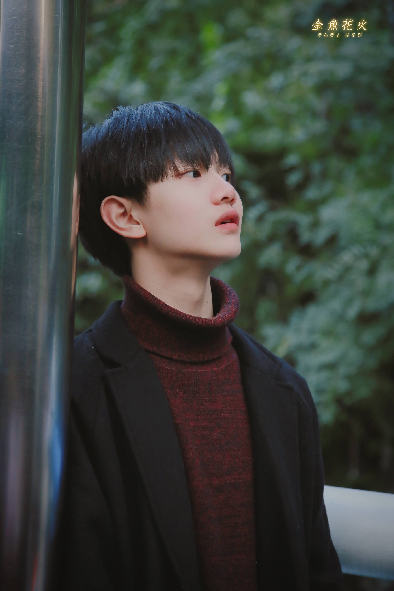 Elec Al Twitter Wenjin C 金鱼花火 黄文锦 黄文锦 Huangwenjin Elec Elec组合https T Co 7j16eo6ydc Twitter